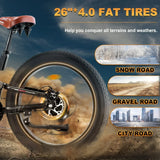 FREESKY Warrior M-530 1000 w Mountain Ebike 4 Fat Tire Electric Fat Tire Mountain eBike - FREES|MOUNT|BLACK|0107