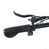 2025 HappyRun 1000W Dual Battery Fast Electric Cargo Bike - G70