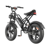 Happyrun Electric Bike Fat Tire Cargo City E-bike - G50
