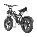 Happyrun Electric Bike Fat Tire Cargo City E-bike - G50