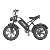Happyrun Electric Bike Fat Tire Cargo City E-bike - G50