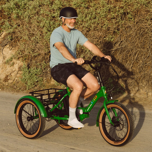 Retrospec Grateful Dead Boca Rev Electric Tricycle - 6480
