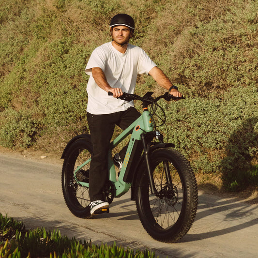 Retrospec Grateful Dead Koa Rev+ 2 Fat Tire Electric Bike - 6479