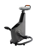 Lifespan Ampera Office Bike