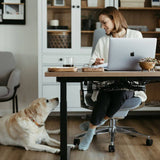 Upside Sit-to-Stand Desk Base - BP01628