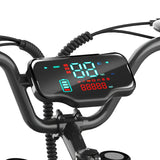 Happyrun Electric Bike Fat Tire Cargo City E-bike - G50
