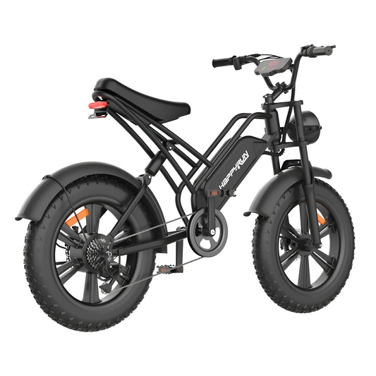 Happyrun Electric Bike Fat Tire Cargo City E-bike - G50