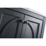 Laviva Odyssey 24" Vanity - 313613-24G