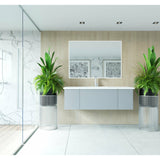 Laviva Vitri 54" Vanity - 313VTR-54CW