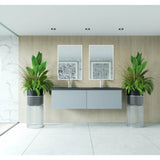 Laviva Vitri 60" Double Vanity - 313VTR-60DCW