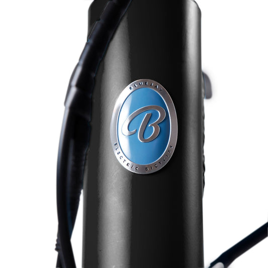 Bluejay WILD - Classic Black Kids Electric Bike - WILDBLK24
