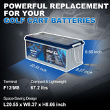 WEIZE 36V 105AH LiFePO4 Bluetooth Battery, 200A BMS, Deep Cycle – BAC-0125VWEI