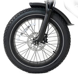 2025 HappyRun 1000W Dual Battery Fast Electric Cargo Bike - G70