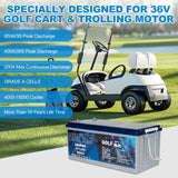 WEIZE 36V 105AH LiFePO4 Bluetooth Battery, 200A BMS, Deep Cycle – BAC-0125VWEI