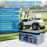 WEIZE 48V 105Ah LiFePO4 Battery w/ Bluetooth & BMS - BAC-0126VWEI