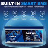 WEIZE 48V 105Ah LiFePO4 Battery w/ Bluetooth & BMS - BAC-0126VWEI