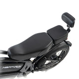 2025 HappyRun 1000W Dual Battery Fast Electric Cargo Bike - G70