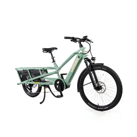 NEW Yuba Spicy Curry Plus Long-Tail Cargo eBike Light Green - Bosch Cargo Line 625Wh - 210000061068