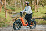 Young Electric E-Flow 750W Folding eBike | 20'' All-terrain Fat Tire With 48V20Ah BAFANG Battery, Up to 90 Miles, 28 MPH - 12803020DB