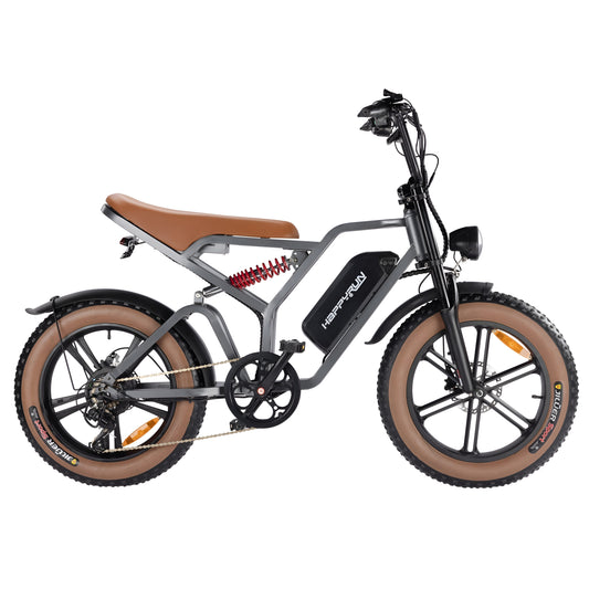 Happyrun Tank 750W Electric Bike Fat Tire Dirt All Terrain - G60