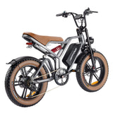 Happyrun Tank 750W Electric Bike Fat Tire Dirt All Terrain - G60
