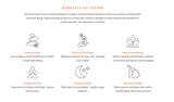 ThermaSol Steam Shower Kit - The Total Wellness Package with 10" ThermaTouch