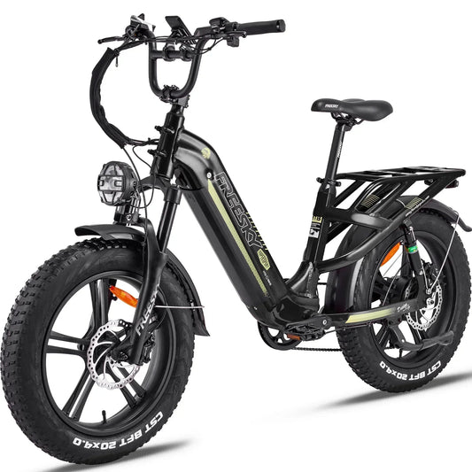 FREESKY Rocky 750 w Step Thru Ebike 20x4 Fat Electric Cargo eBike - FREES|CARGO|BLACK|0568