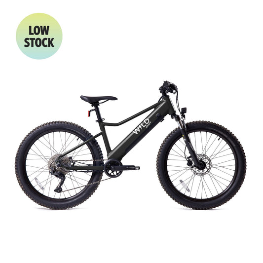 Bluejay WILD - Classic Black Kids Electric Bike - WILDBLK24
