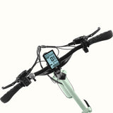 Retrospec Boca Rev Electric Tricycle - 5989