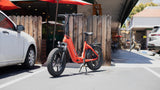 Young Electric E-Flow 750W Folding eBike | 20'' All-terrain Fat Tire With 48V20Ah BAFANG Battery, Up to 90 Miles, 28 MPH - 12803020DB
