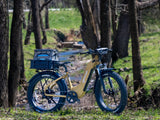 Young Electric E-Scout Pro Step-Through Commuter Ebike | Up to 80 Miles, 28 MPH | 960Wh LG Battery, 26’’ All-terrain eBike - 12803024YL