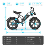 Happyrun Electric Bike Fat Tire Cargo City E-bike - G50