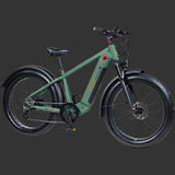 Retrospec Grateful Dead Koa Rev+ 2 Fat Tire Electric Bike - 6479