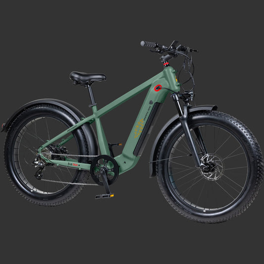 Retrospec Grateful Dead Koa Rev+ 2 Fat Tire Electric Bike - 6479