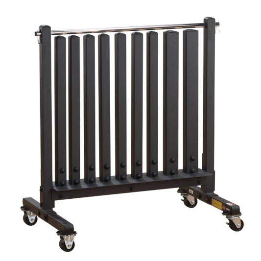 iDeal Body Solid Vinyl Dumbell Rack - GDR500