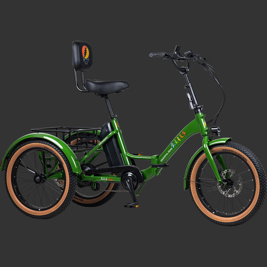 Retrospec Grateful Dead Boca Rev Electric Tricycle - 6480