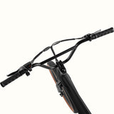 Retrospec Joe Rev BMX Electric Bike - 6023