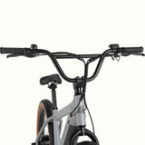 Retrospec Joe Rev BMX Electric Bike - 6023
