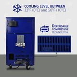 Michelin Tool Chest Fridge, Licensed Michelin Graphics, Blue - MTCF50