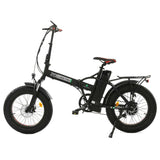 iDeal Ecotric 48V Fat Tire Portable and Folding Electric Bike with color LCD display - NS-NFAT20850C-G+SH-HHJ850-G