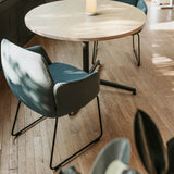 Poppy Guest Chair with Sled Base - BP01252