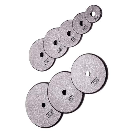 USA Sports by Troy 1" Gray Weight Plate -R-001