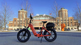 Young Electric E-Flow 750W Folding eBike | 20'' All-terrain Fat Tire With 48V20Ah BAFANG Battery, Up to 90 Miles, 28 MPH - 12803020DB
