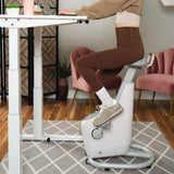 Lifespan Ampera Office Bike
