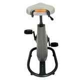 Lifespan Ampera Office Bike