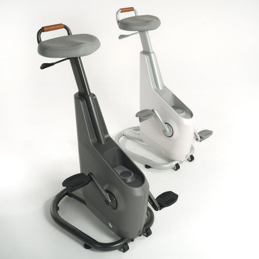 Lifespan Ampera Office Bike