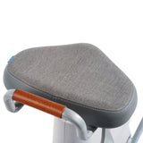 Lifespan Ampera Office Bike