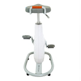 Lifespan Ampera Office Bike