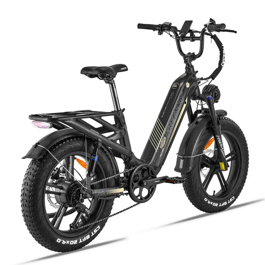 FREESKY Rocky 750 w Ready to Ride Step Thru Ebike 20x4 Electric Cargo eBike - FREES|CARGO|BLACK|0593