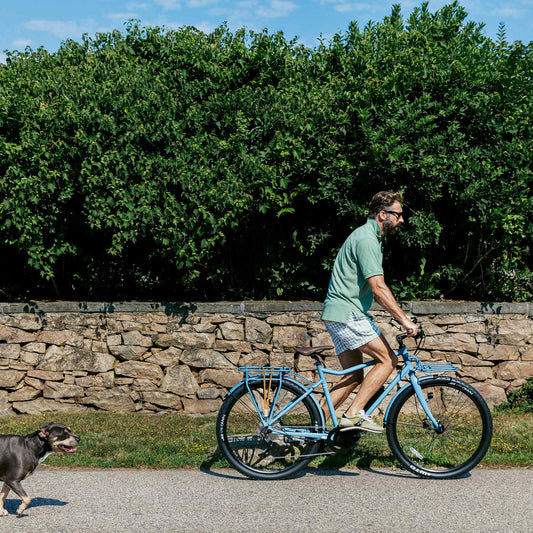 Bluejay Sport - Bluejay Blue Electric Bike - BKSP22-MDAZL